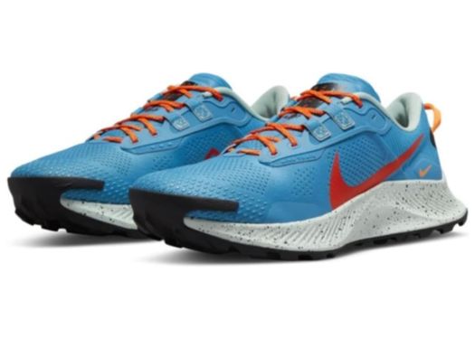 Nike Pegasus Trail 3 Review 3